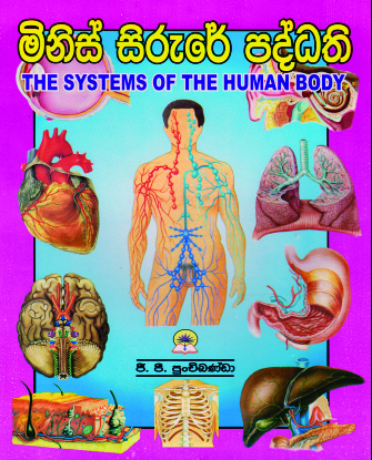 මිනිස් සිරුරේ පද්ධති